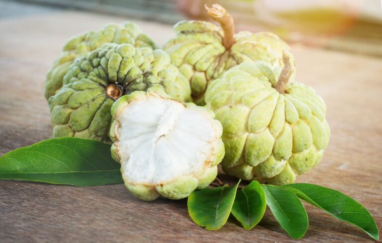 Custard Apple